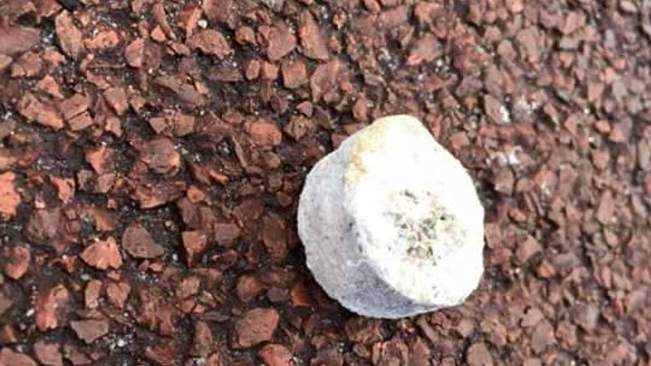 Een van de gevonden brokken in Vught (Foto: DierenDokters Kalmoesplein/Facebook)