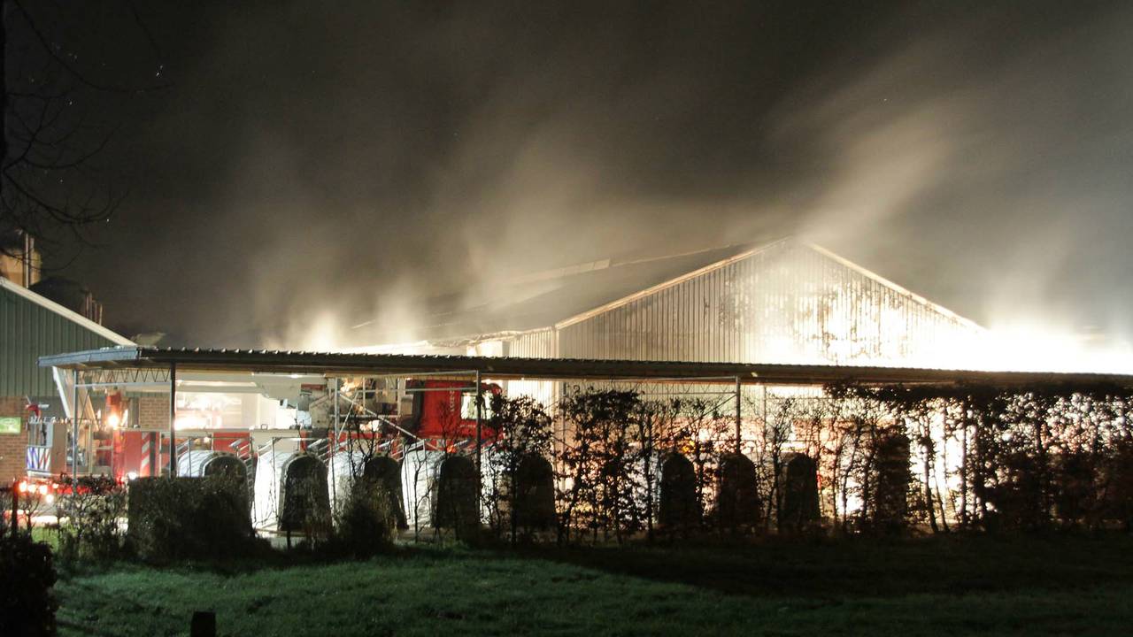 Foto: Harrie Grijseels/SQ Vision