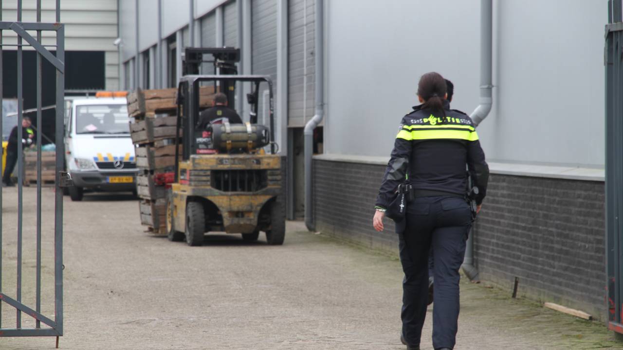 Kwekerij met 4000 hennepplanten in Heeswijk-Dinther (Foto: Bert van Kasteren/ Ginopress)