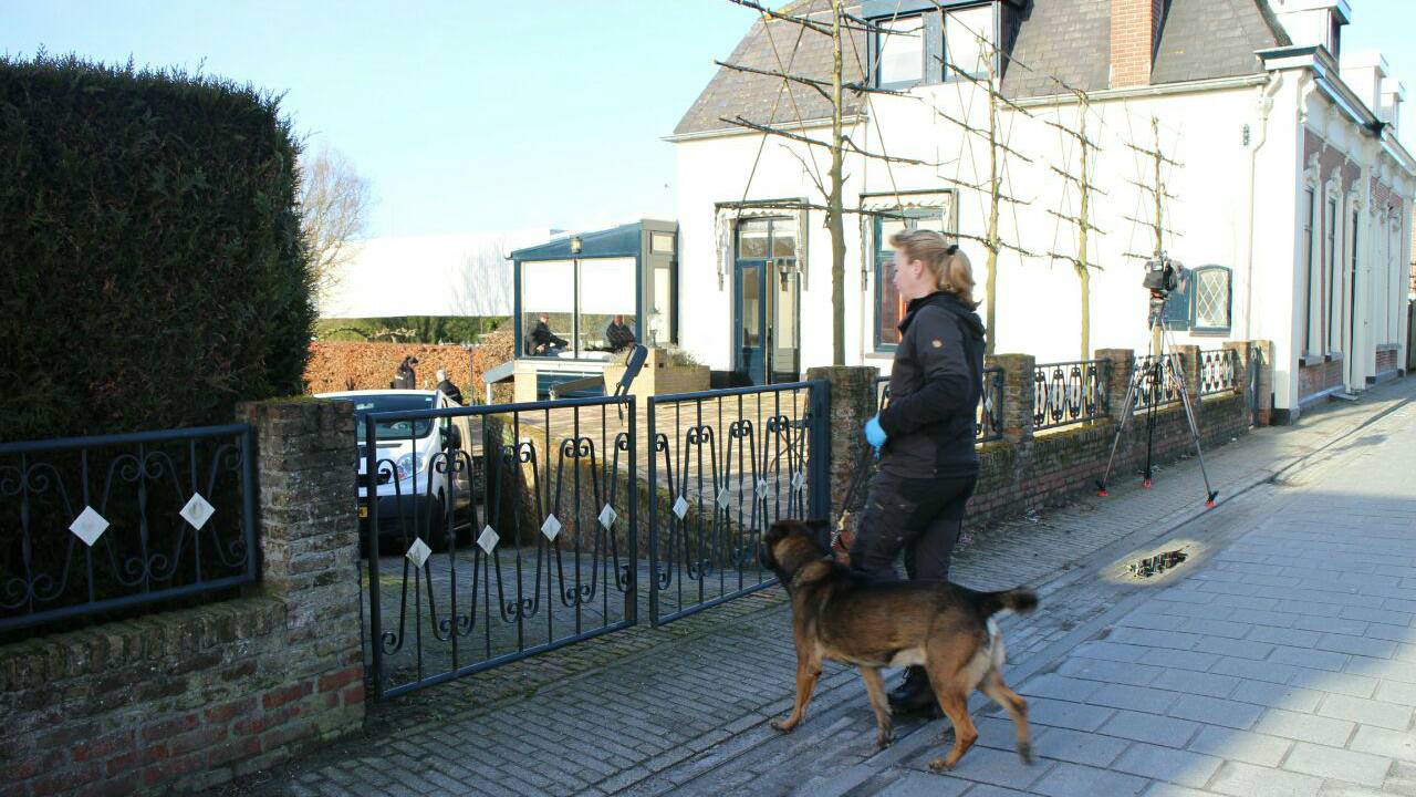 Foto: Alexander Vingerhoeds / GinoPress