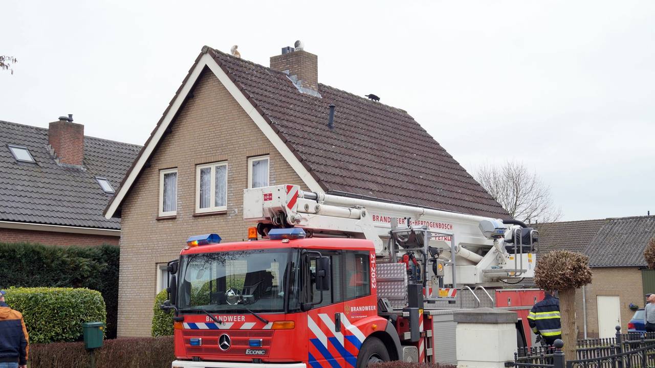 Ga naar slide 3