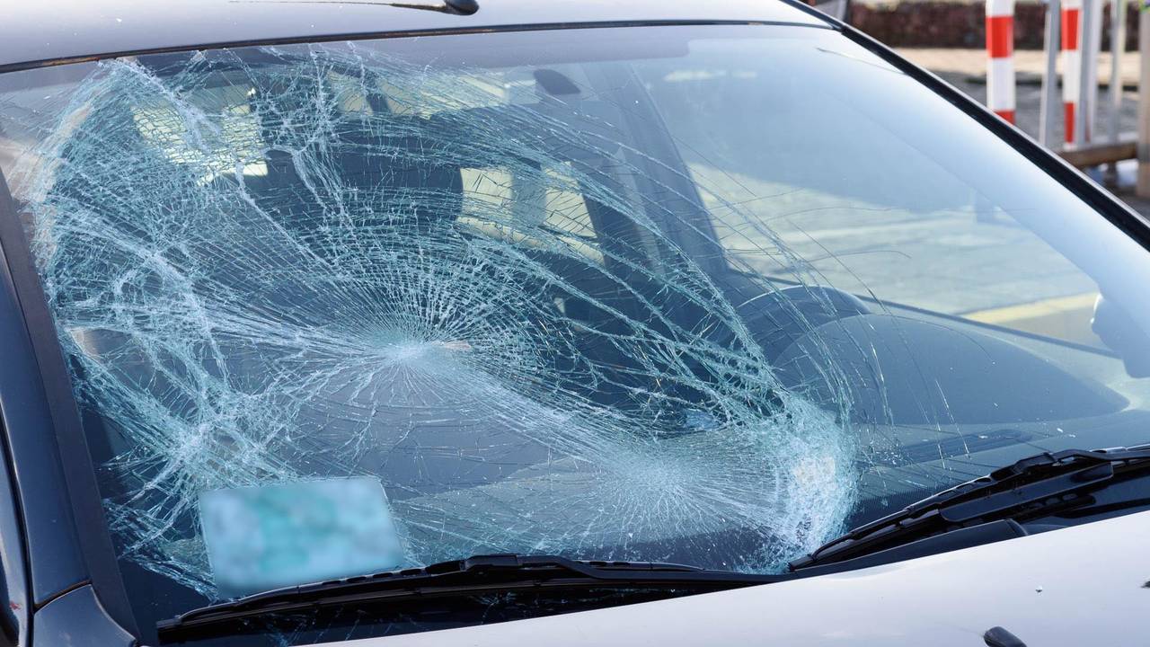 Foto: Tom van der Put / SQ Vision