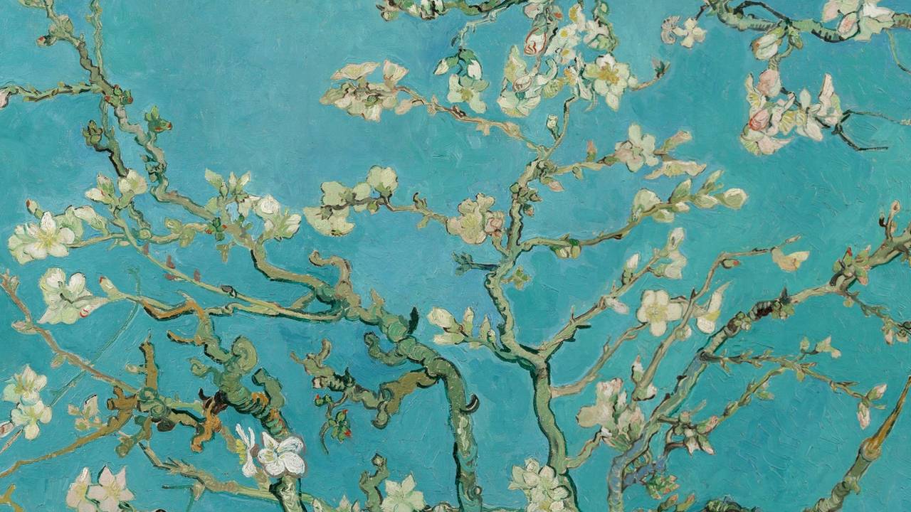 Het schilderij 'Amandelbloesem' (Bron: Van Gogh Museum)