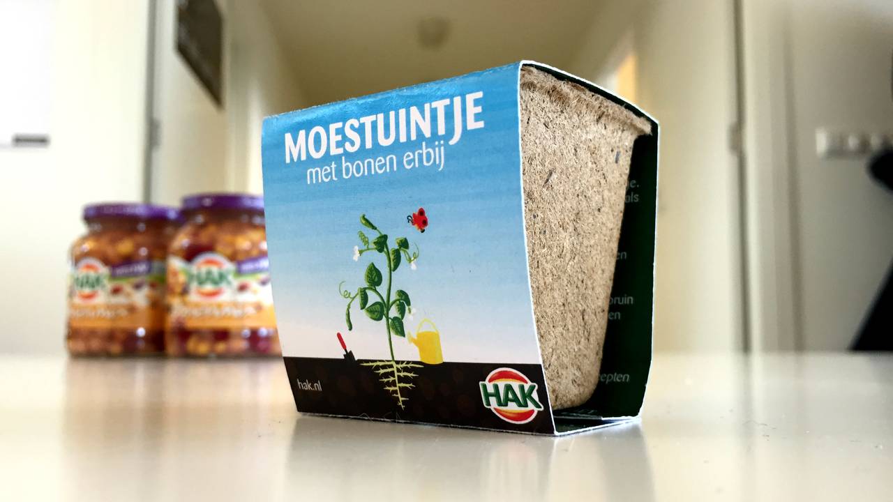 Het bonenplantje van HAK