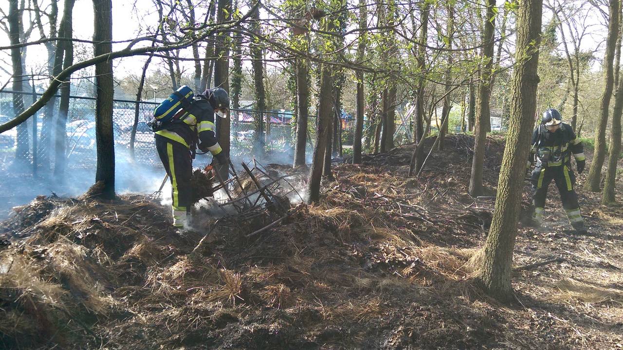 Foto: S.Kusters/SK Media