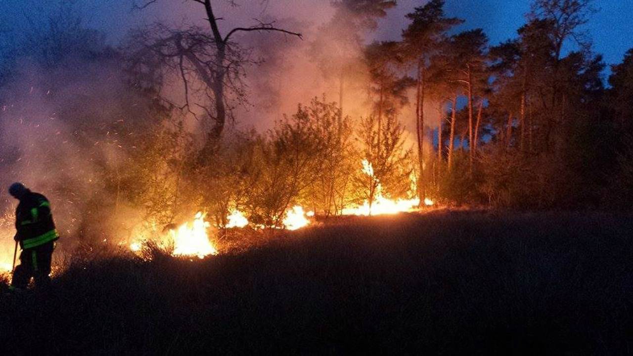 Een deel van een natuurgebied in Alphen-Chaam is afgebrand (Foto: Jeroen Stuve / Stuve fotografie)