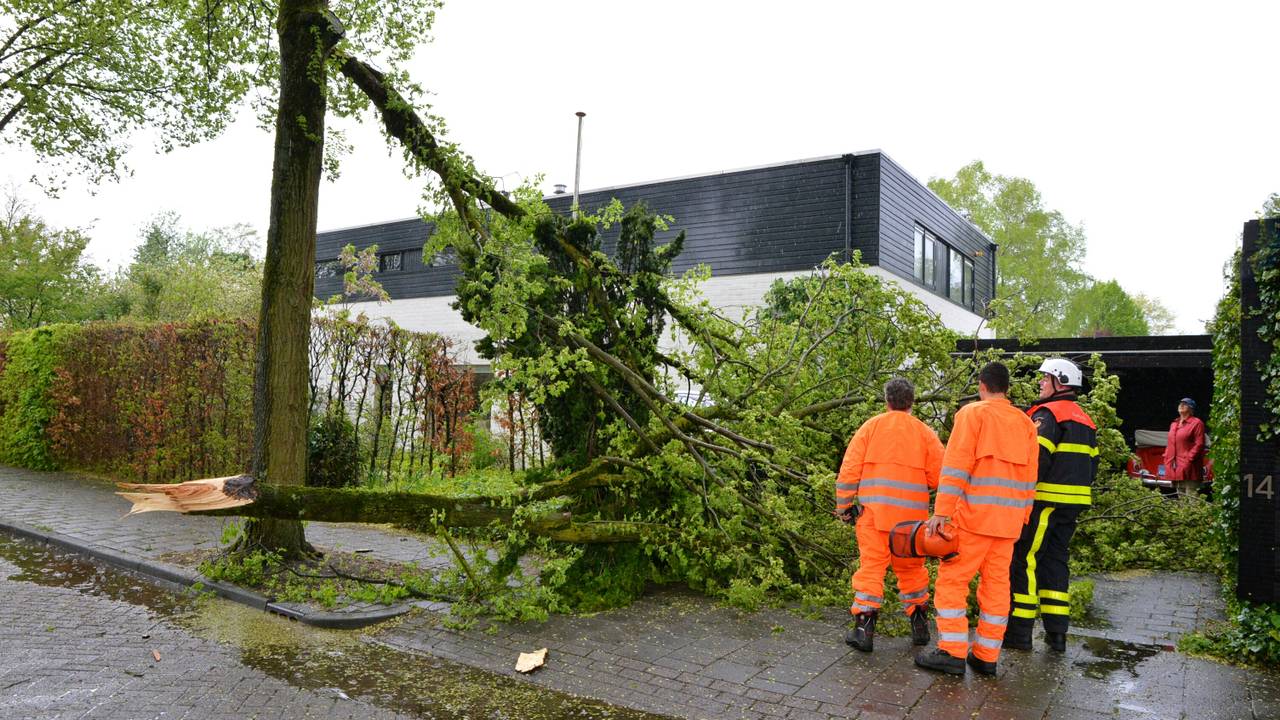 Ga naar slide 3