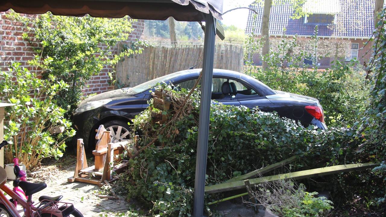 Dollemansrit in Heeswijk-Dinther (foto: AS Media)