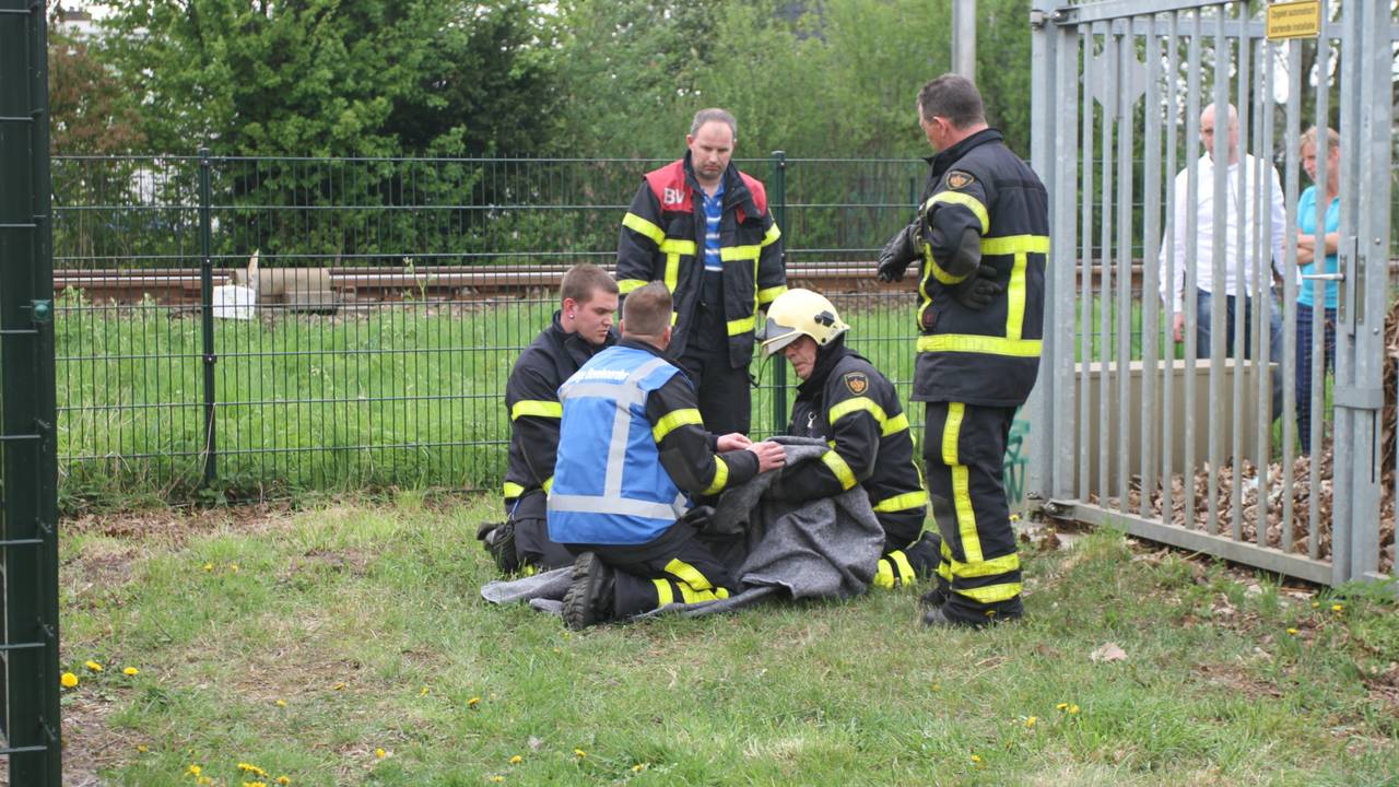 De brandweer ontfermde zich over het dier. (foto: Alexander Vingerhoeds/Obscura Foto)