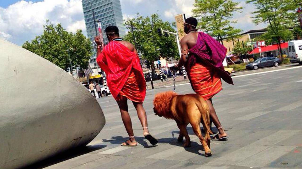 De 'leeuw' (foto: Philip van den Brand)