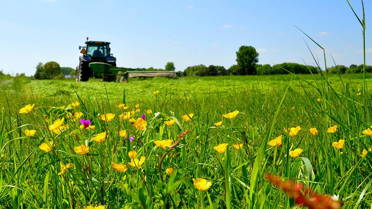 Archieffoto: Ben Saanen