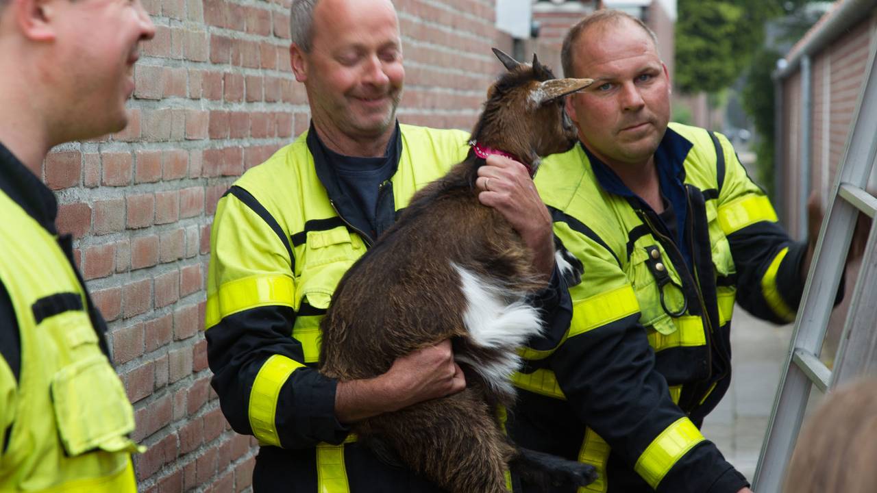 Ga naar slide 2