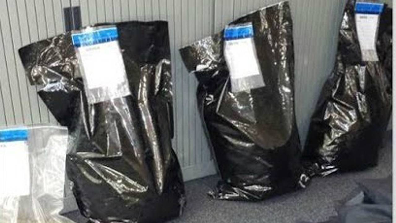 De hennep die werd gevonden. (foto: Instagram/@jeugdagent_oosterhout)