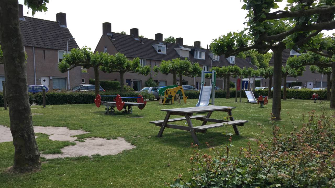 De speeltuin waar de webcam op gericht was. (Foto: Marieke Boerefijn)