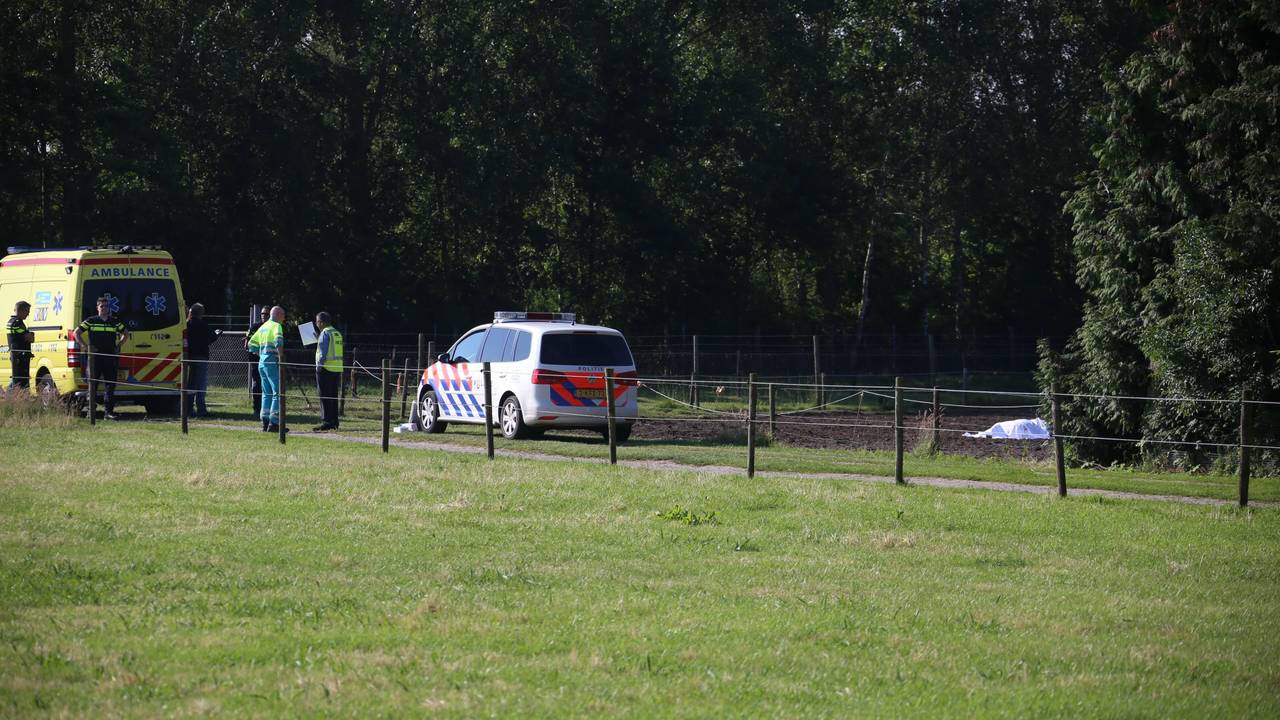 Vrouw overleden nadat ze is vertrapt door koeien in Liempde (Foto: Gabor Heeres/SQ Vision)