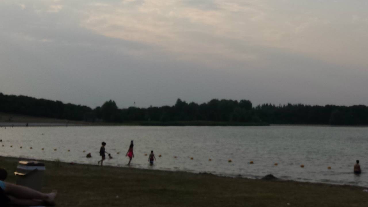 Berkendonk (Foto: Ferenc Triki)