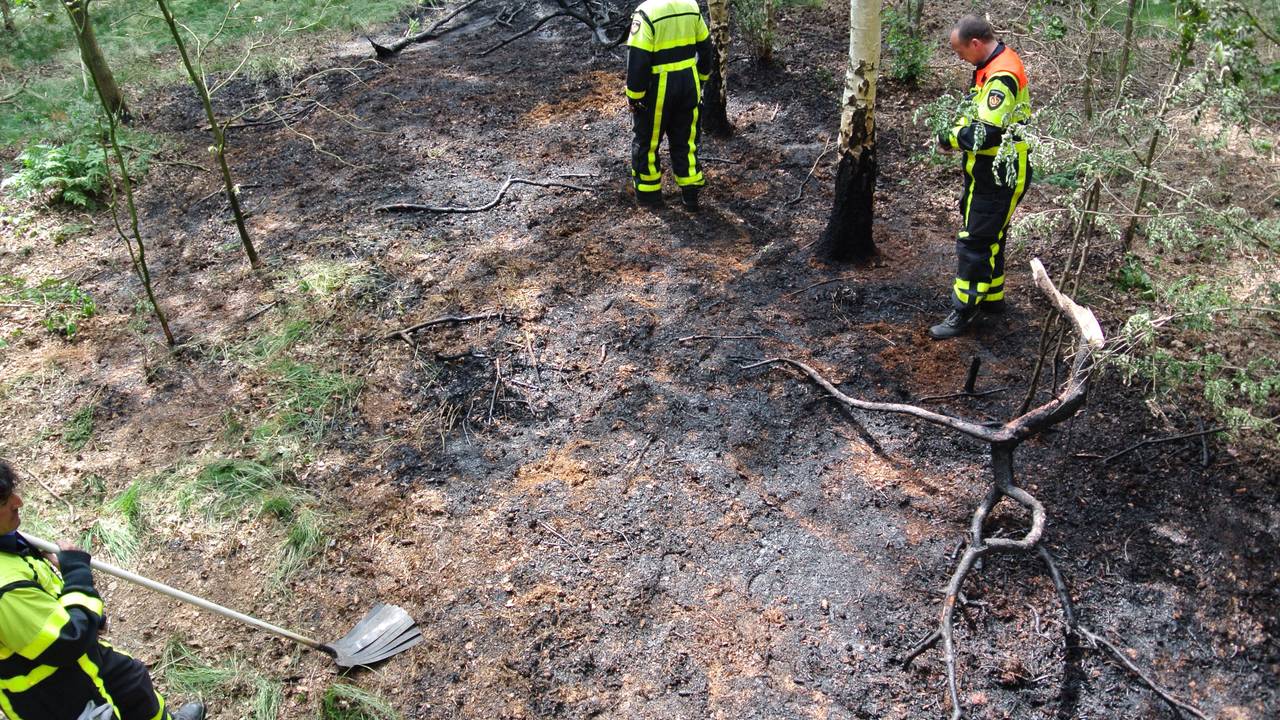 Foto: Perry Roovers / SQ Vision