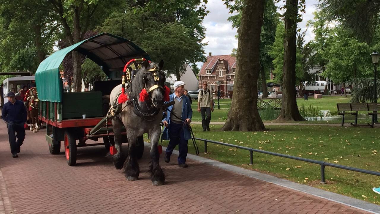 In Nuenen pauzeren de wandelaars in het park 