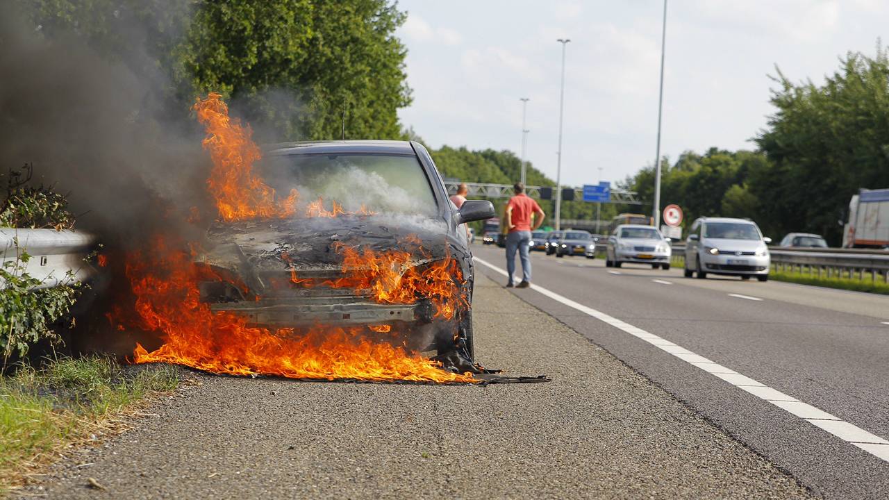 Foto: Marcel van Dorst/SQ Vision.