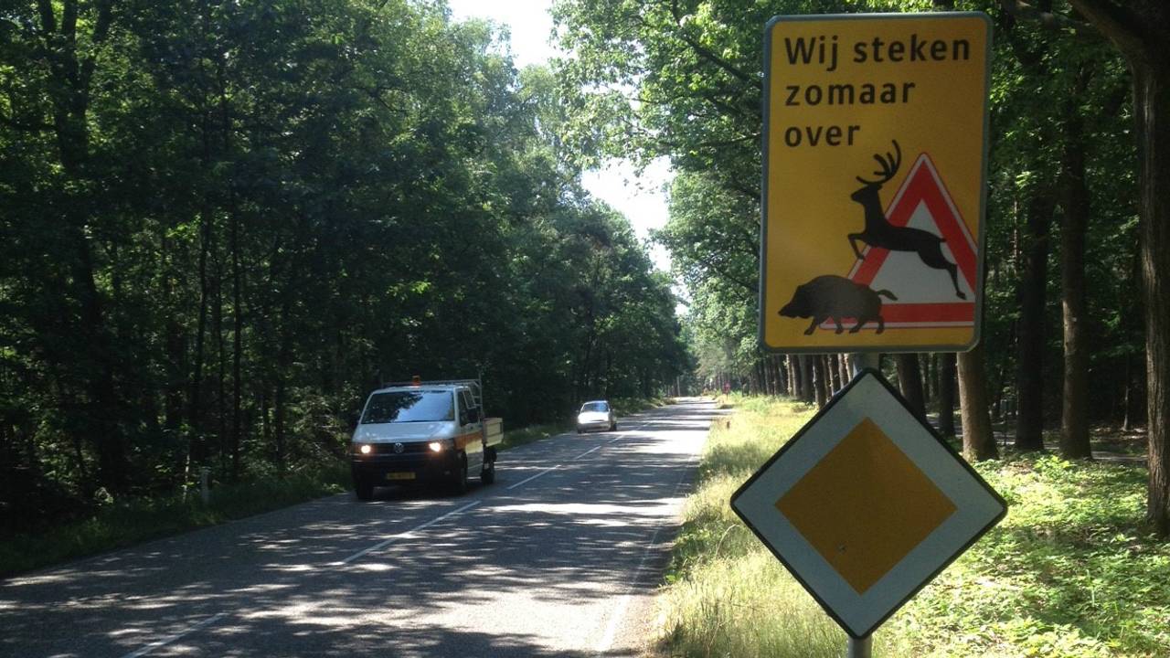 Ga naar slide 1