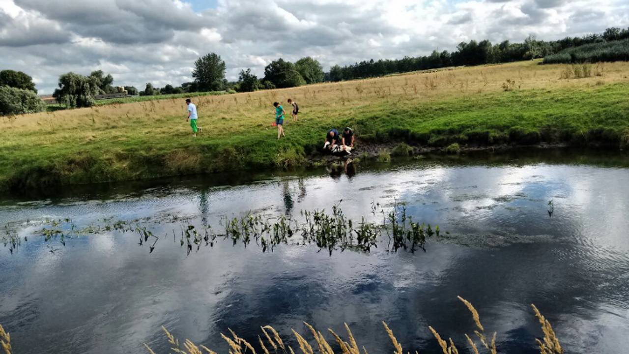Ga naar slide 2
