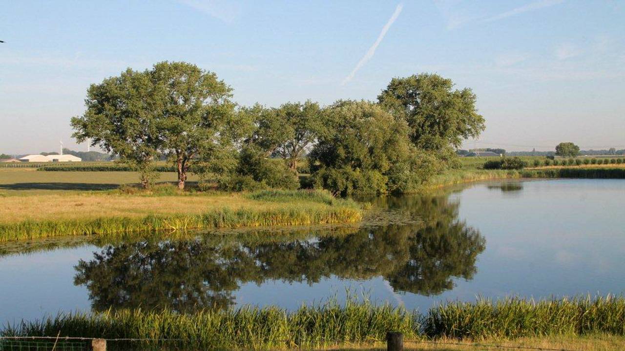 In en aan het Brabantse water heeft de natuur het goed. (foto: Martha Kivits)
