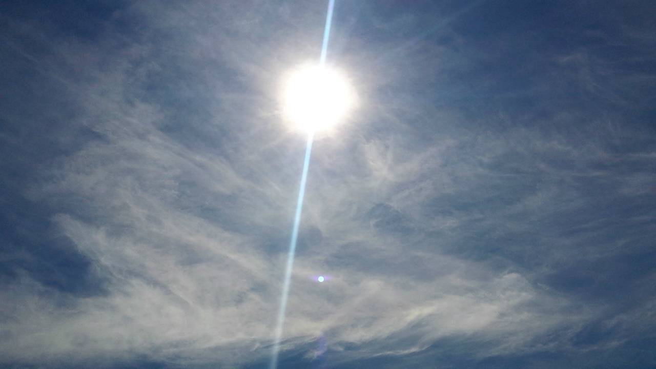 Het wordt zomers in Brabant.