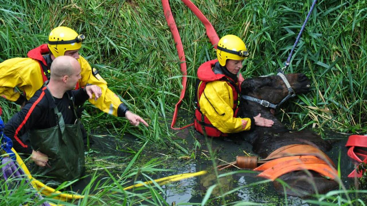 Foto: Martijn de Bruin/ Stuve fotografie
