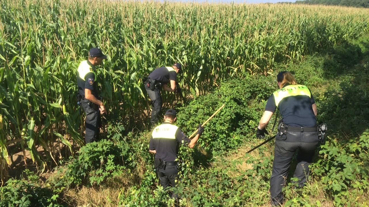 Foto: Jeroen Stuve (Stuve Fotografie)