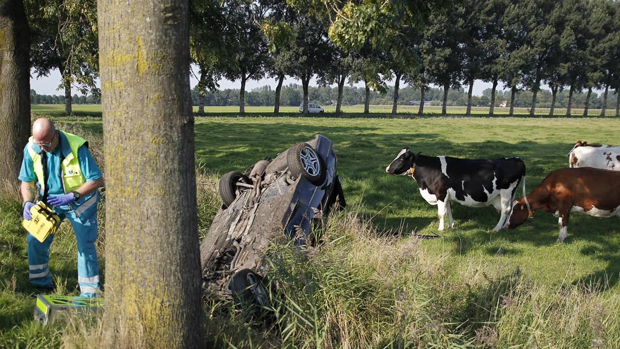 Foto: Marcel van Dorst - MaRicMedia