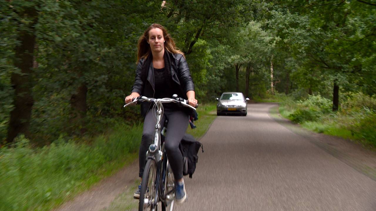 Wethouder: geen lantaarnpalen op Pelgrimsweg in Handel