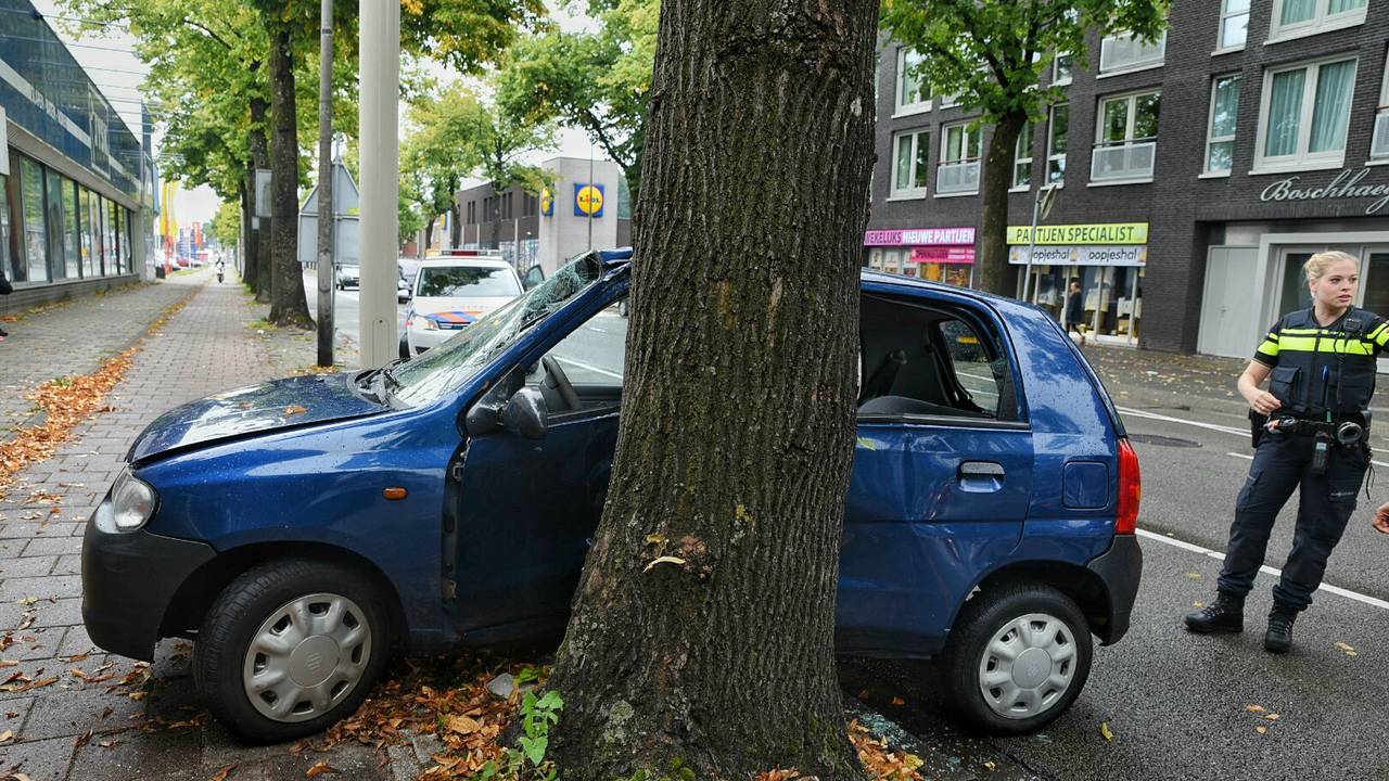 Foto: Toby de Kort (De Kort Media)