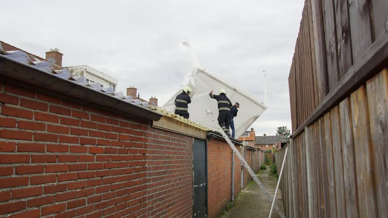 Foto: Martijn van Bijnen/FPMB