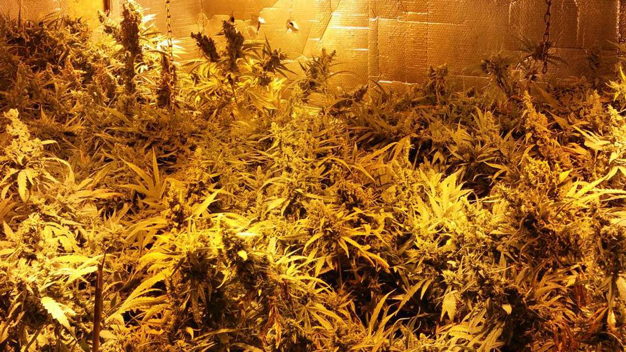 Dit moet toch wat opbrengen. 