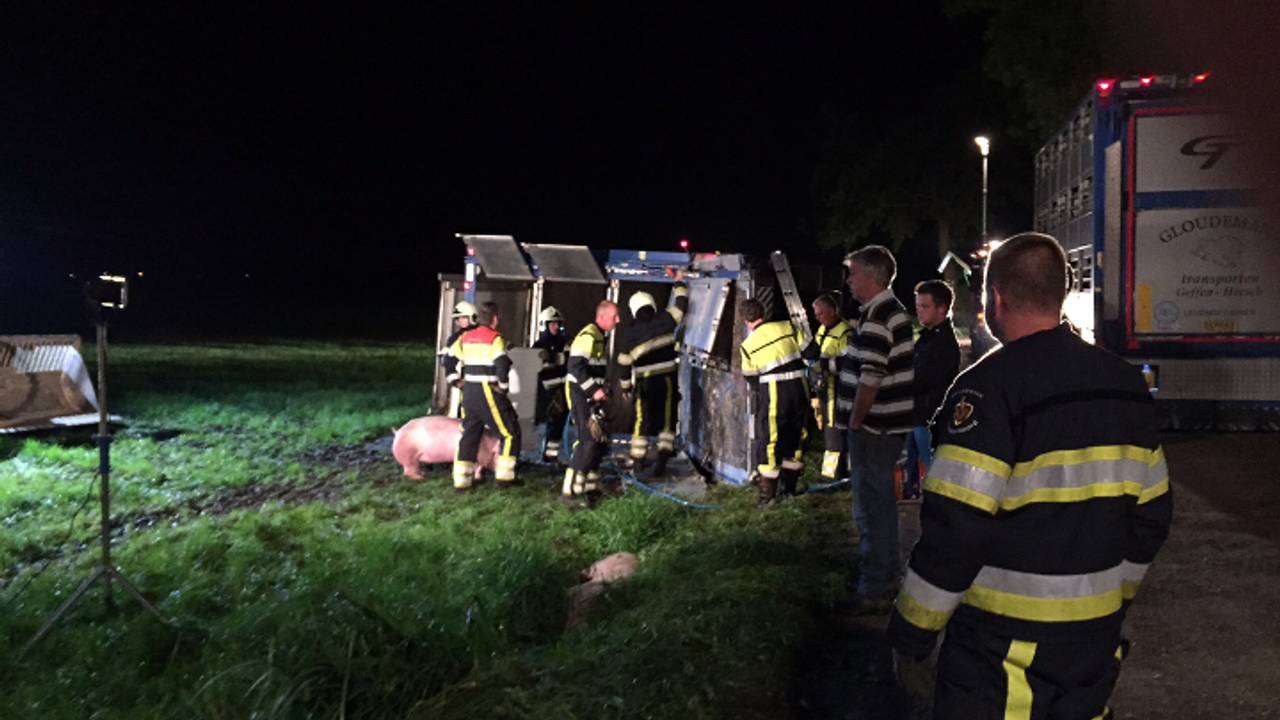 Gekantelde vrachtwagen met varkens. (foto: Marco van den Broek / SQ Vision)