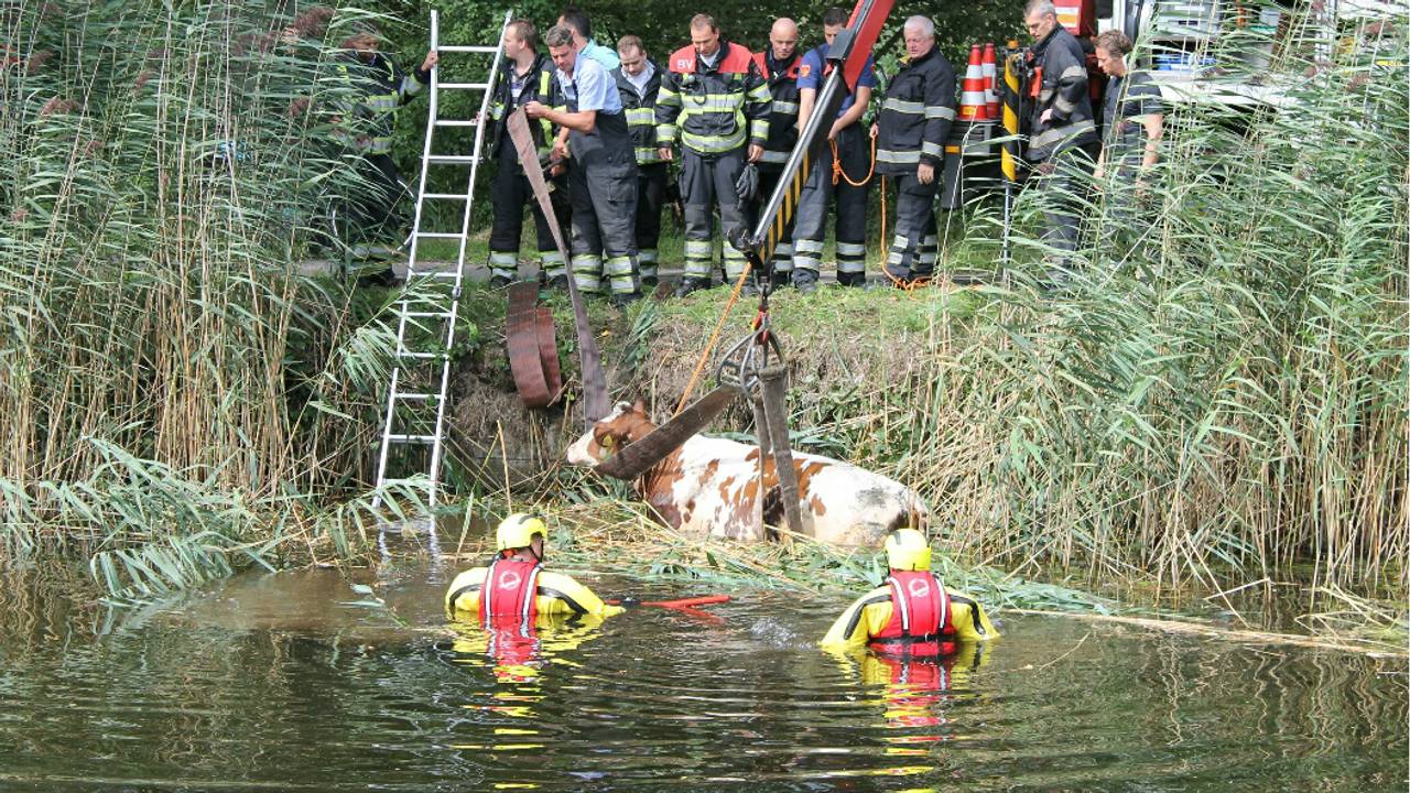 Foto: Stefan Bron / Hendriks Multimedia