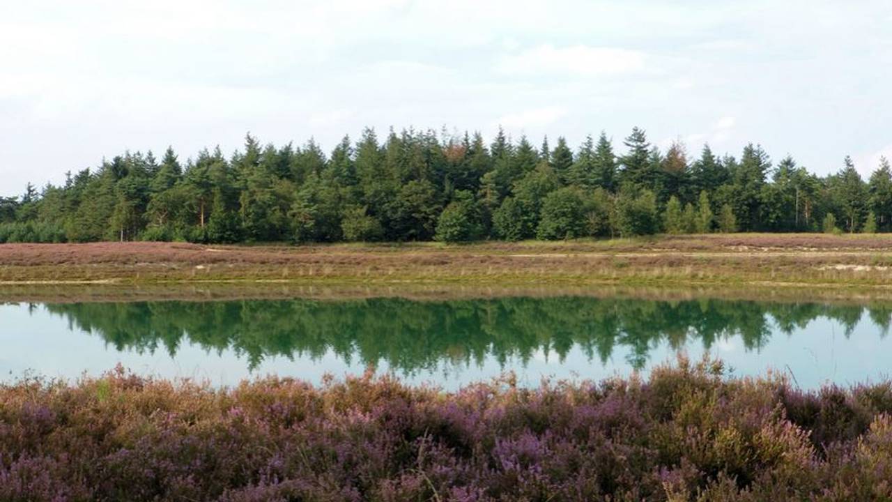 Groote Heide (Archief)