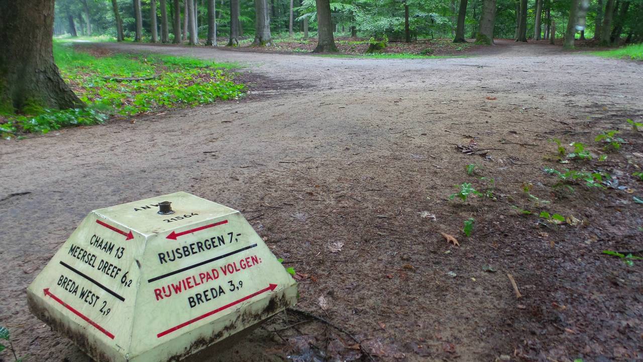 Mastbos Breda (Foto: Henk Voermans)