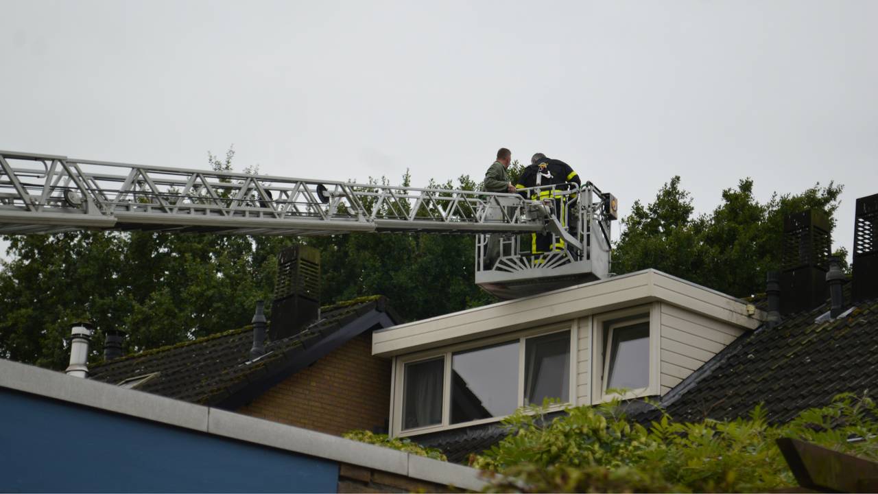 Foto: Alexander Vingerhoeds/Obscura Foto.