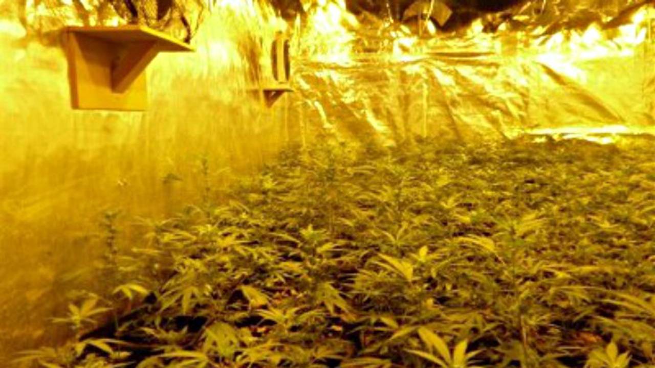 Professionele hennepkwekerij in Nuenen (foto: politie)