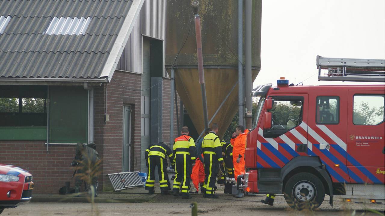 De brandweer probeert de dieren te bevrijden. (foto: Martijn van Bijnen/FPMB)