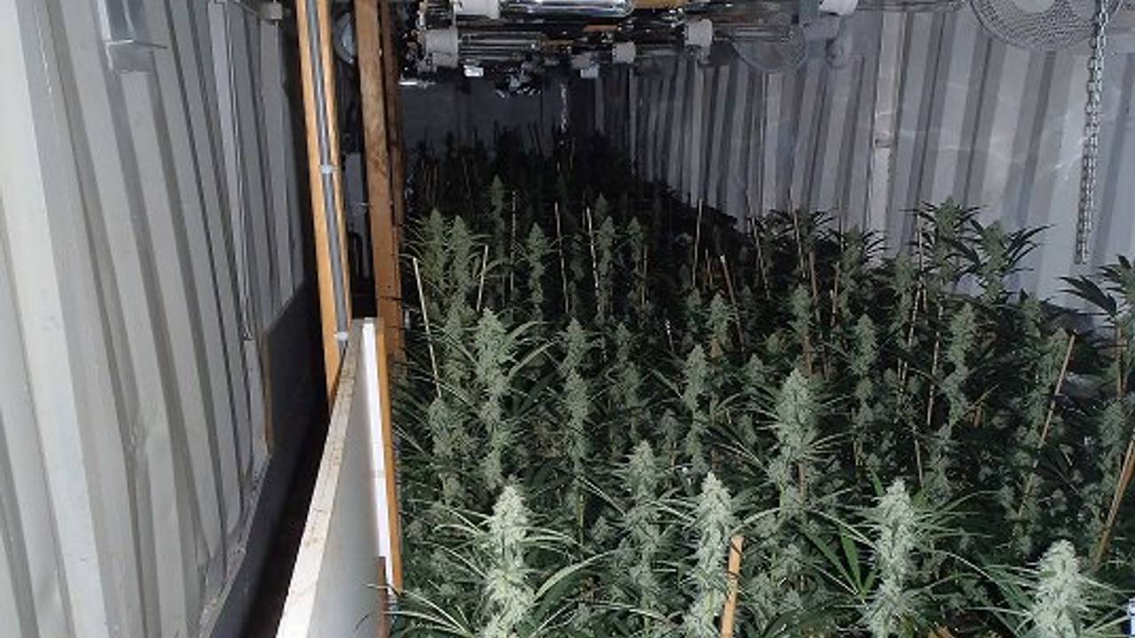 De wietkwekerij in een ingegraven container in Nieuwendijk (Foto:Politie)