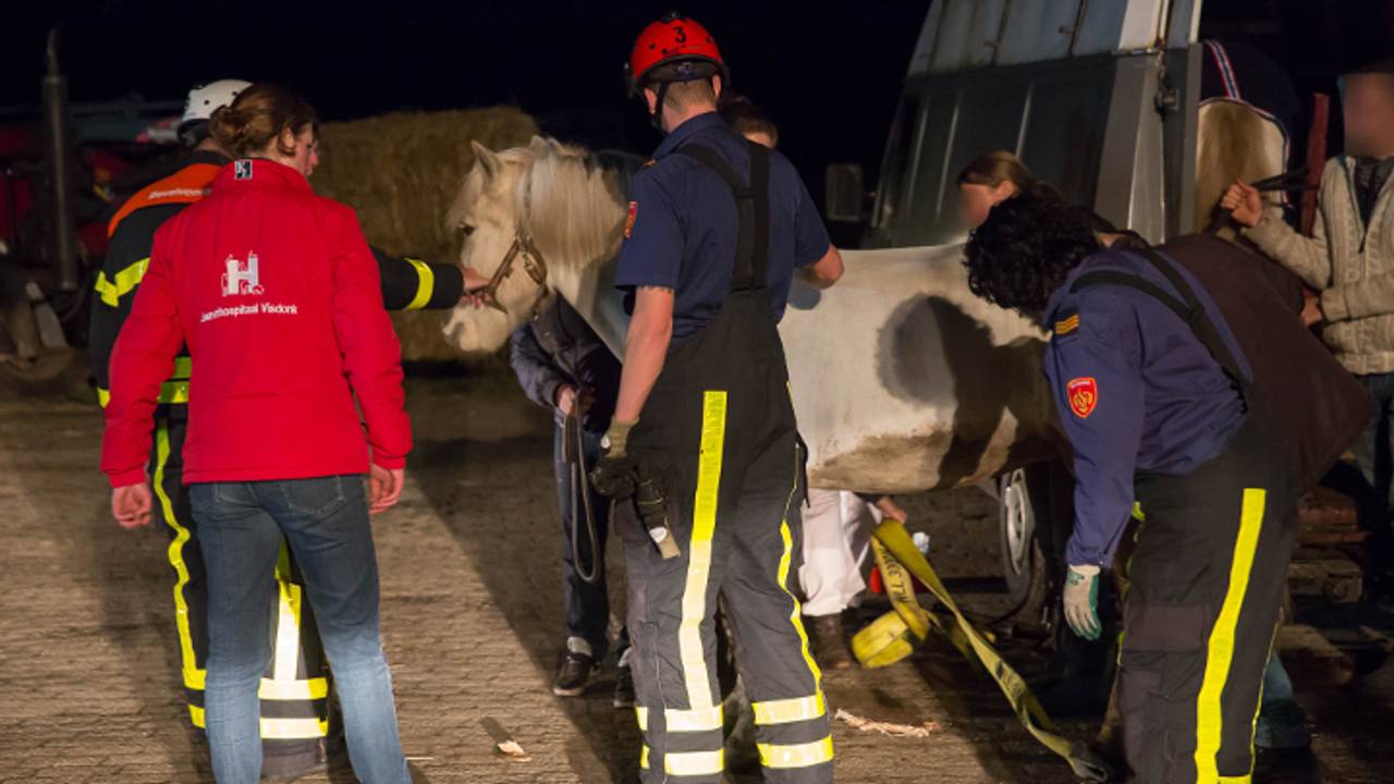 Paard kwam vast te zitten (foto: SQ Vision)