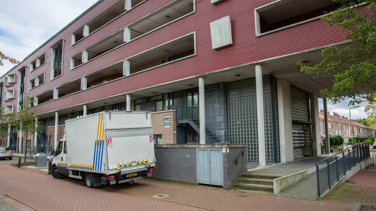 De hennep werd ontdekt na een melding van een loslopende hond. (foto: Christian Traets).