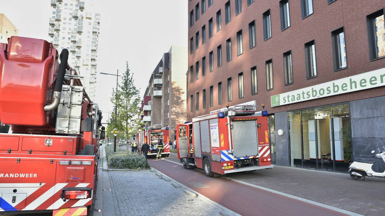 Foto: Jules Vorselaars / JV Media