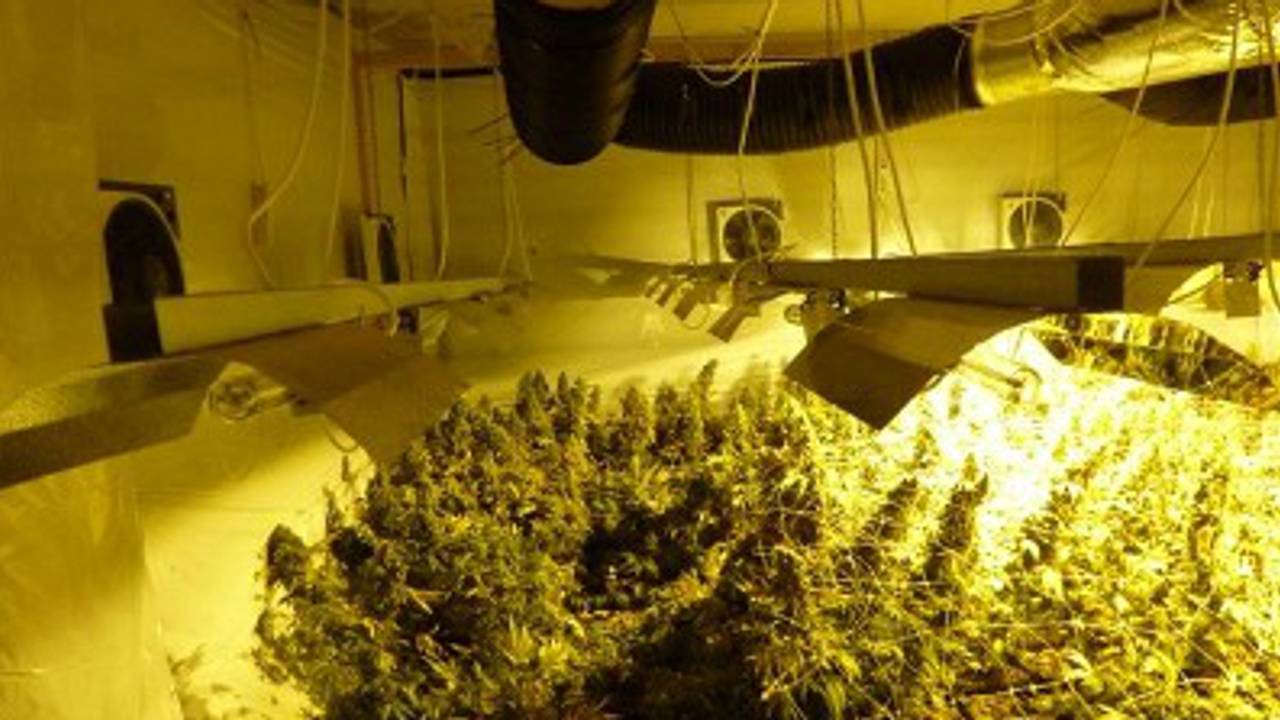 De kwekerij in Valkenswaard. (Foto: archief)