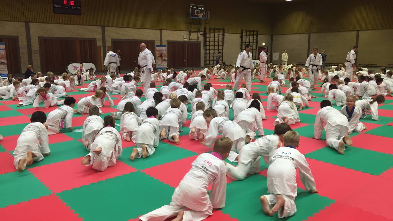 Schoolkinderen gaan uit hun dak bij judoclinics in Veldhoven (Foto: René van Hoof)