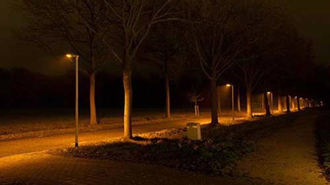 speciale verlichting voor vleermuizen in Tilburg.