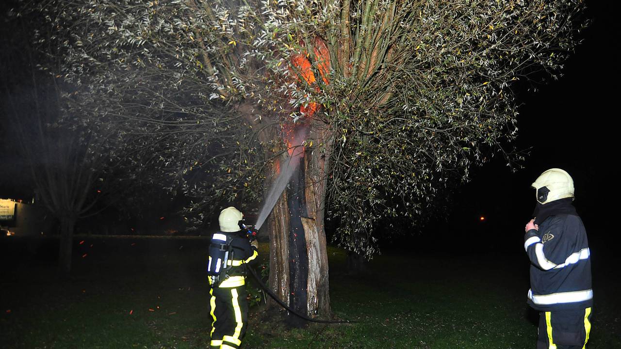 Boom langs de A59 in brand gestoken. (Foto: FPMB/Marvin Doreleijers)