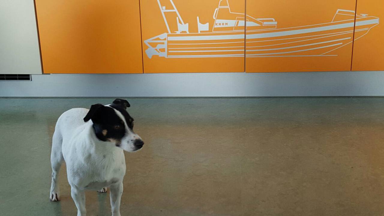 De jongeren konden de man op tijd redden (Foto: KNRM Dordrecht/www.knrm.nl/dordrecht)